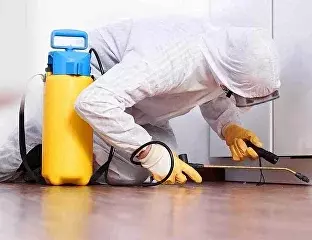 Обработка за пол цены!